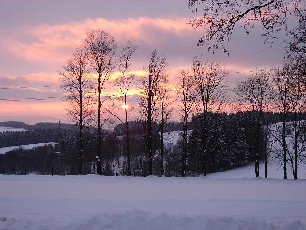 img00006.jpg