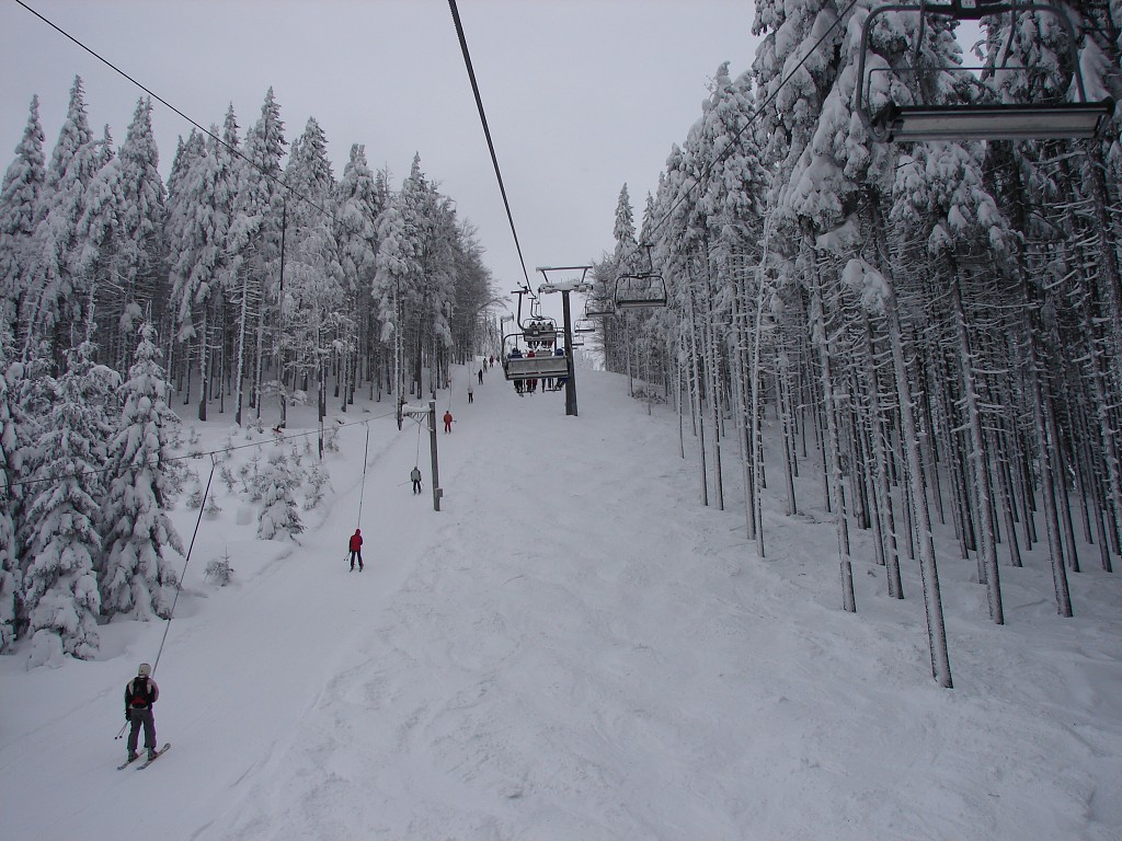 img00007.jpg