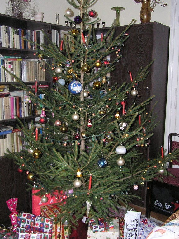 img00010.jpg