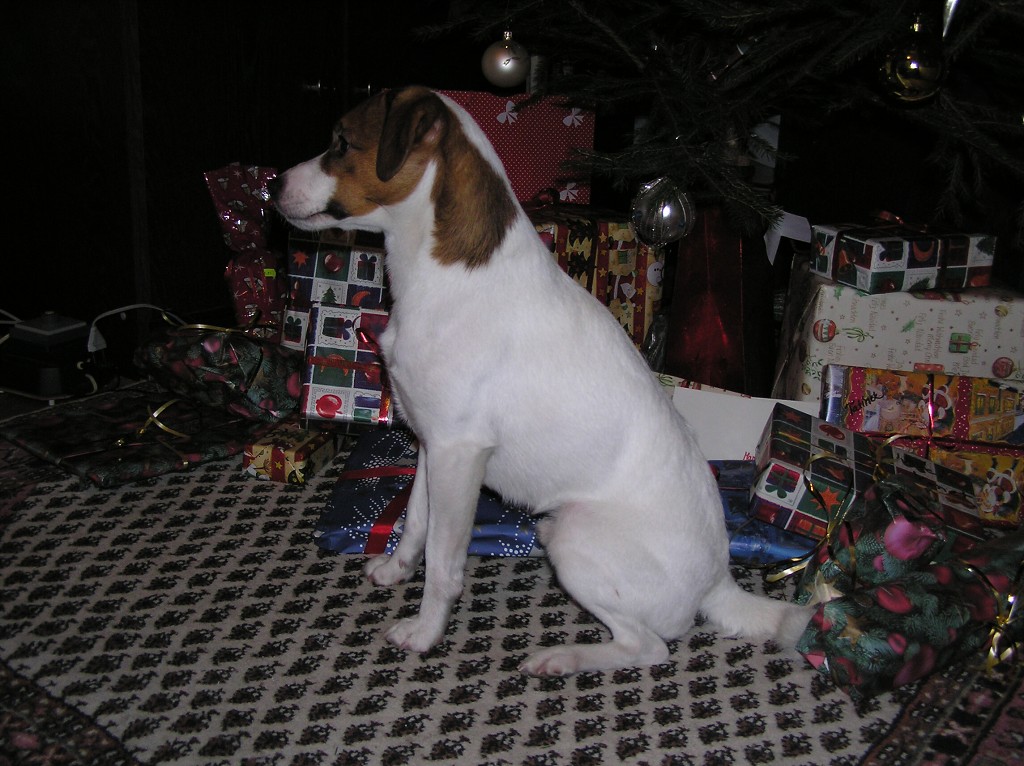 img00011.jpg