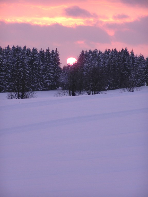 img00026.jpg