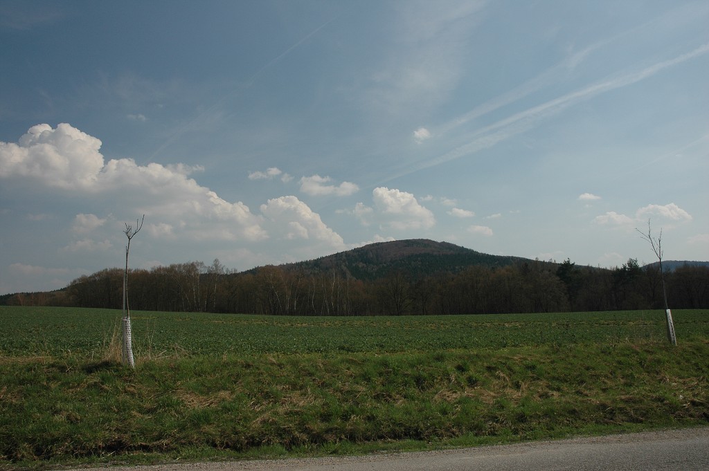img00005.jpg