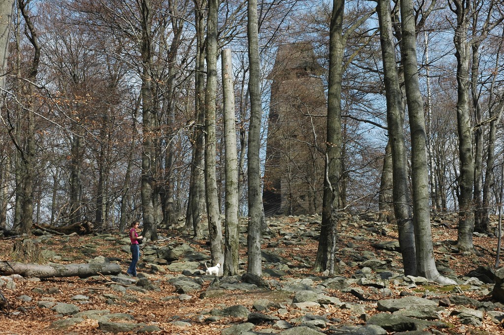 img00007.jpg
