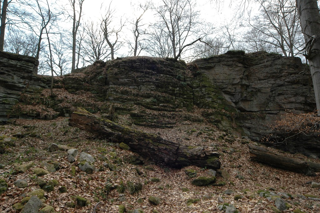 img00009.jpg