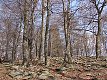 1/250 s, F4.0, ISO 64