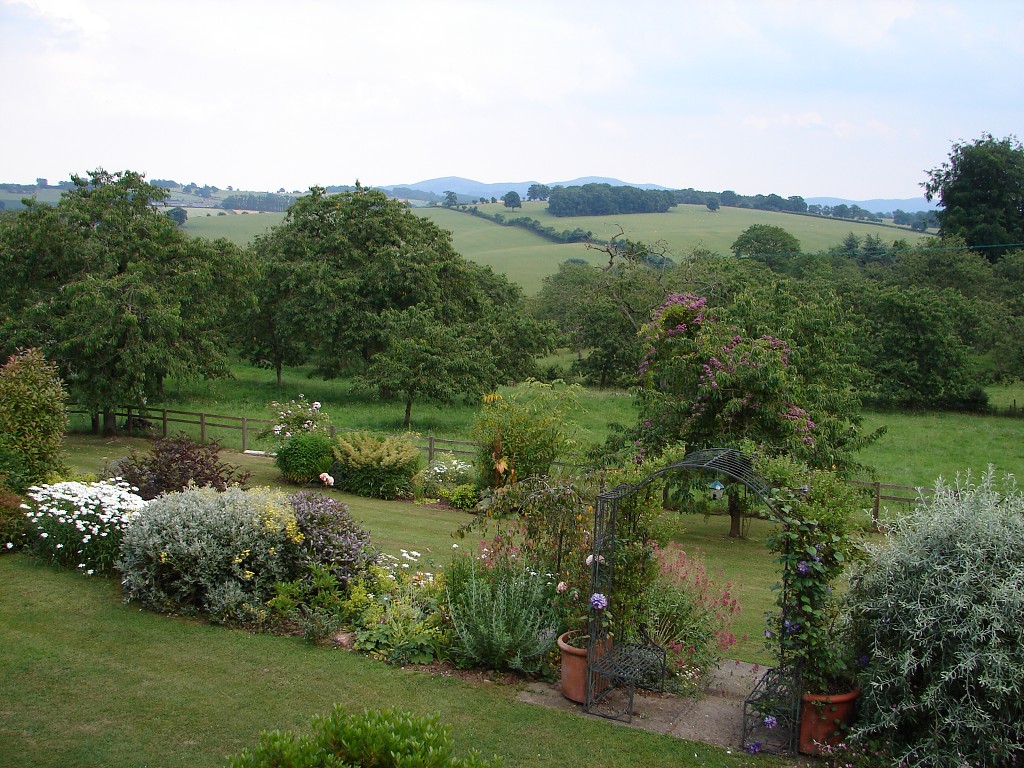 img00005.jpg