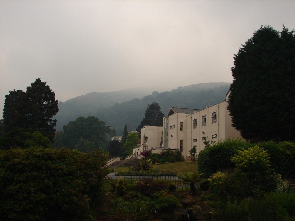 img00009.jpg
