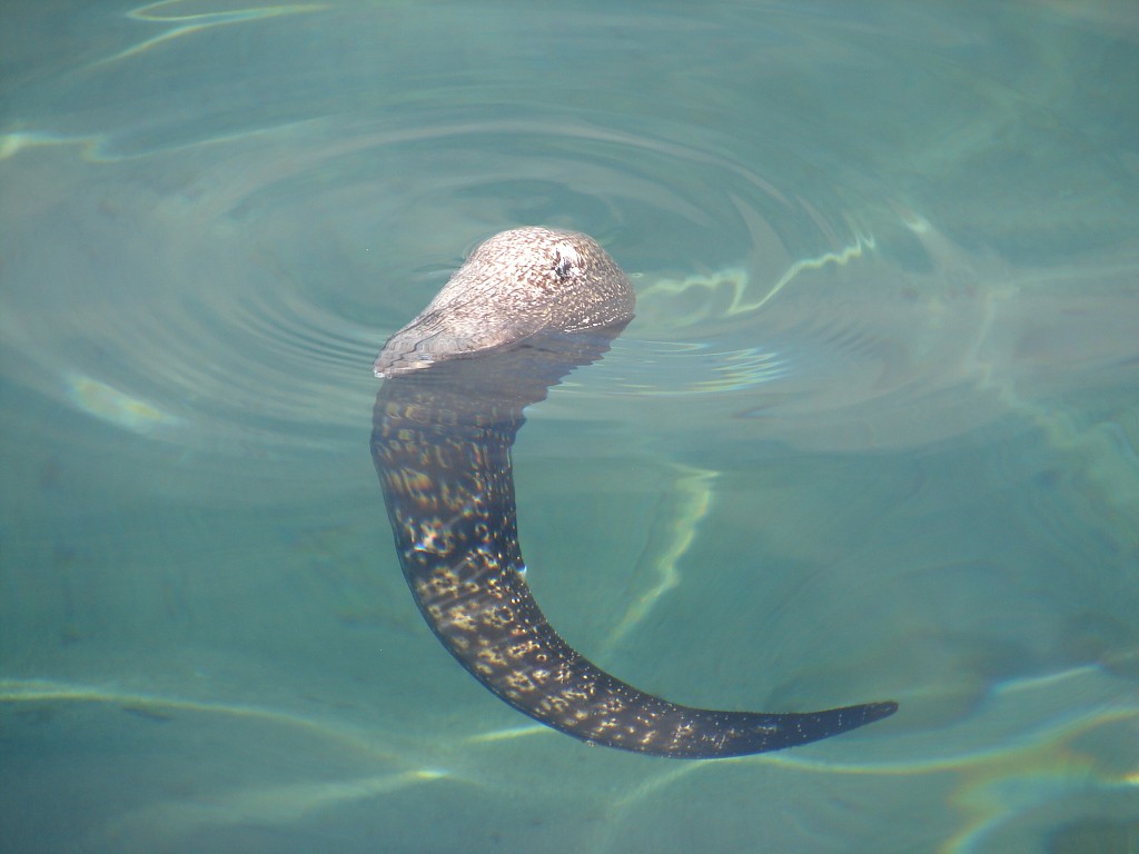img00022.jpg