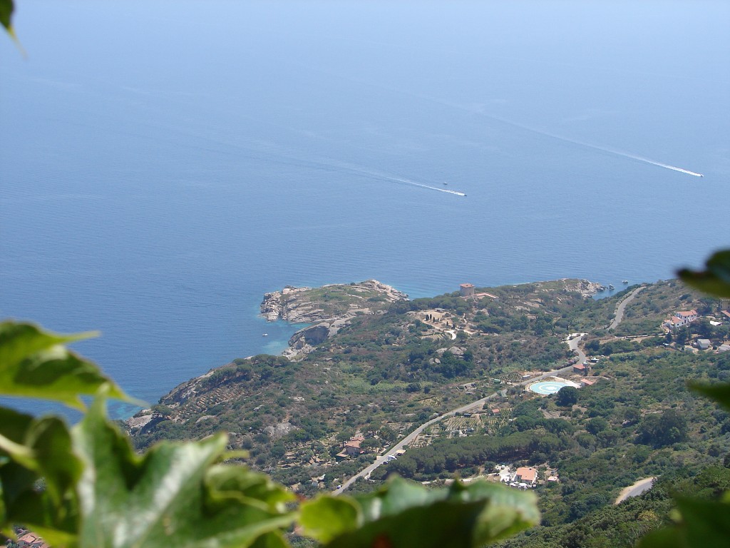 img00029.jpg