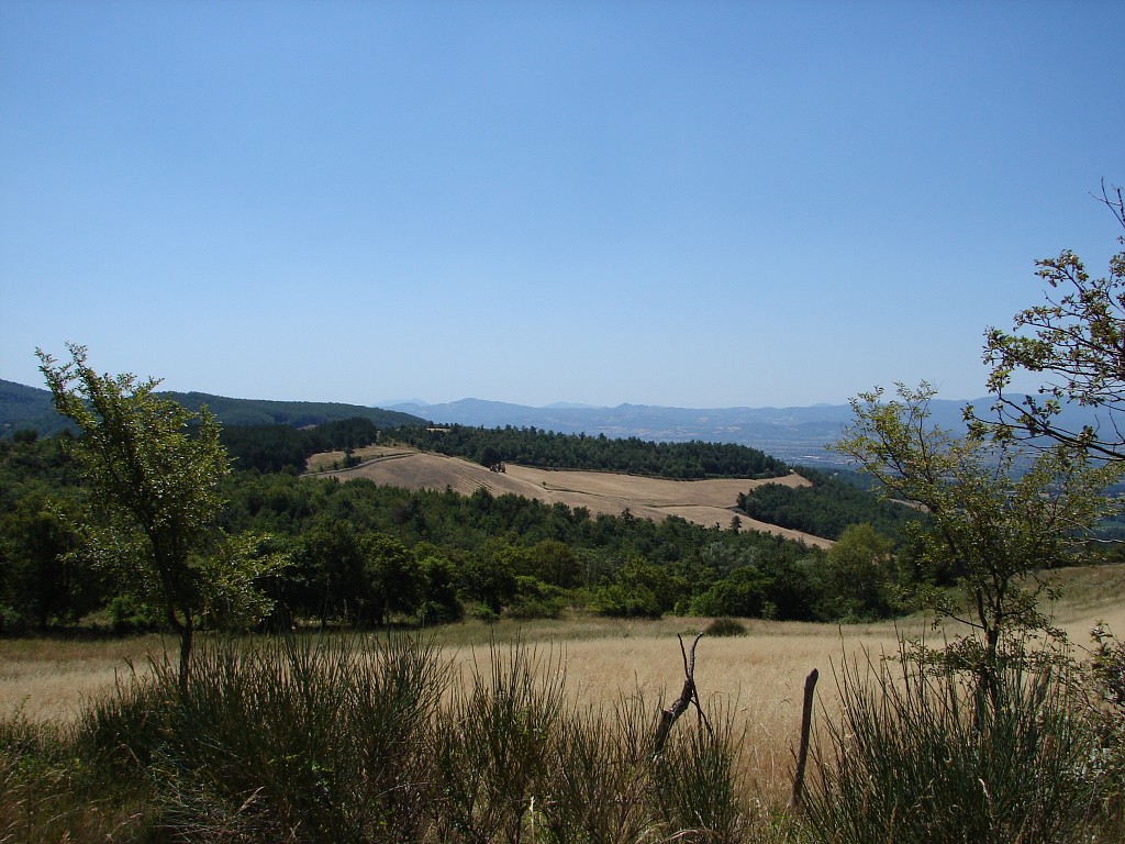 img00037.jpg