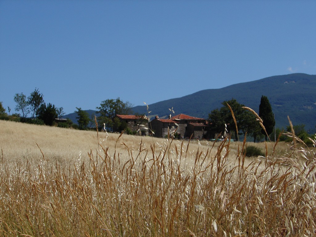 img00038.jpg