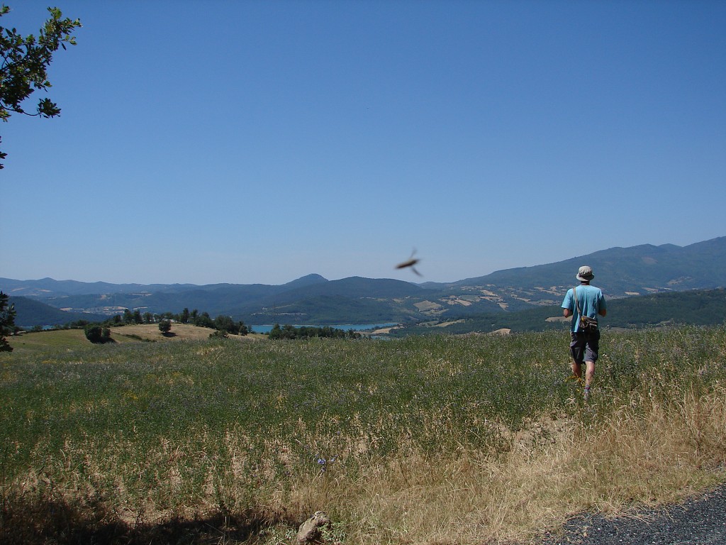 img00041.jpg