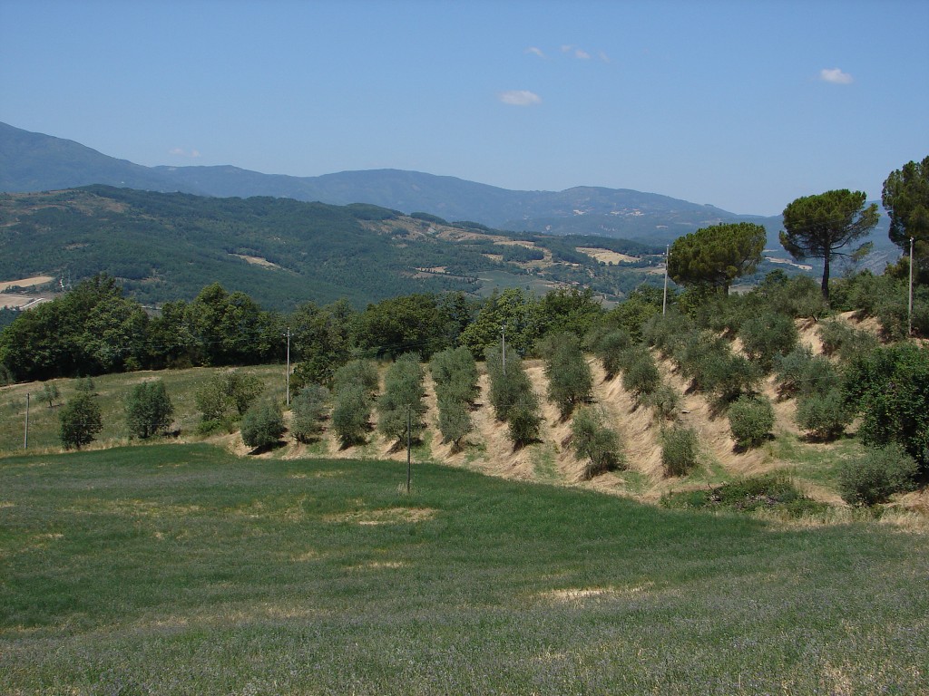 img00043.jpg