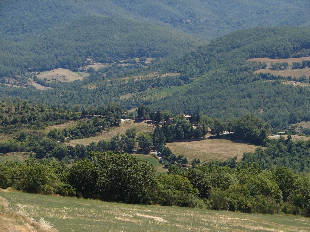 img00045.jpg