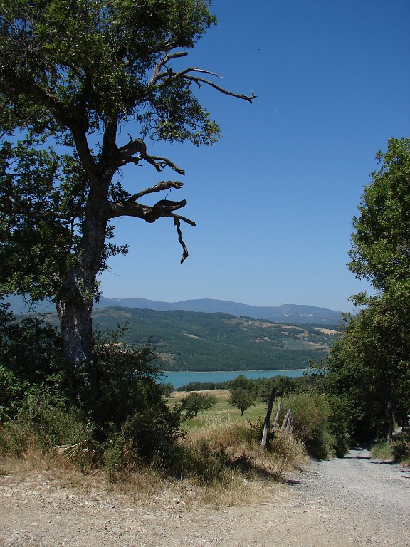 img00046.jpg