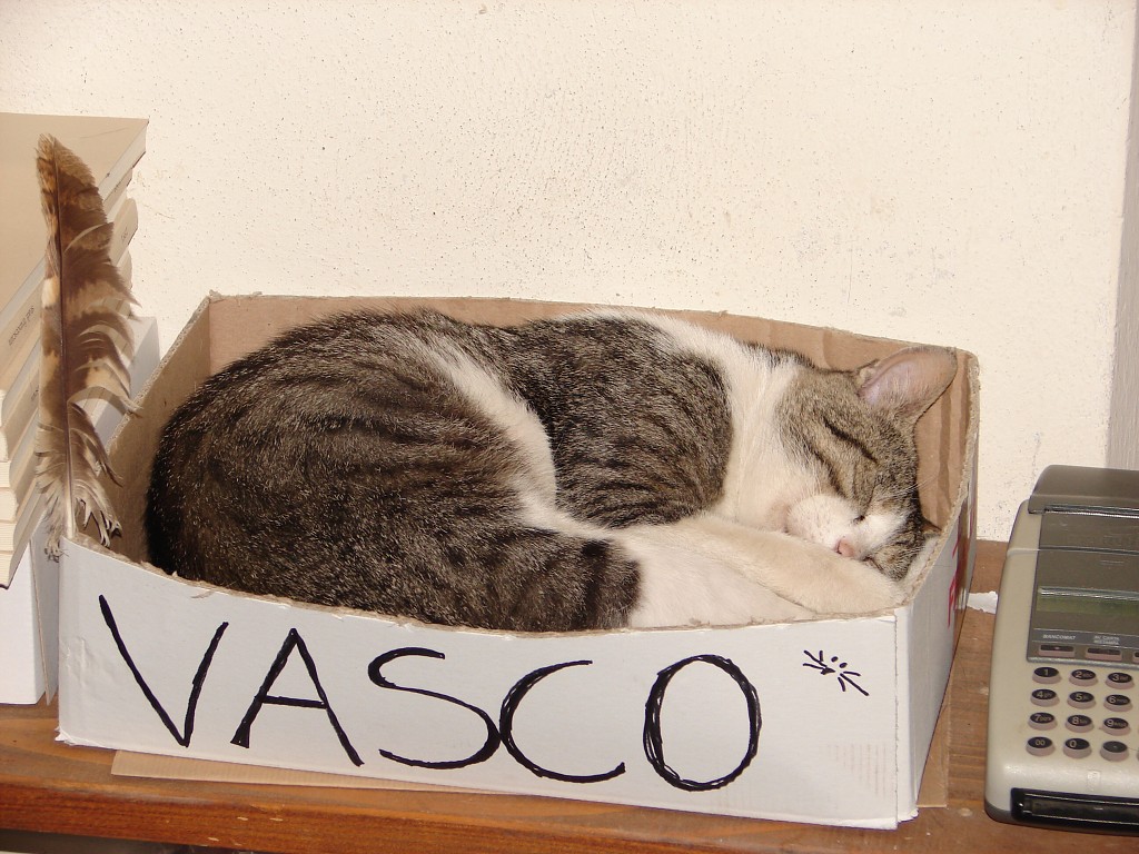 img00052.jpg