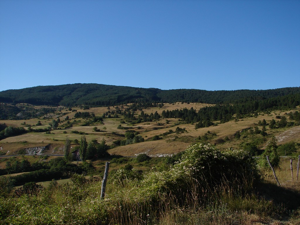 img00054.jpg