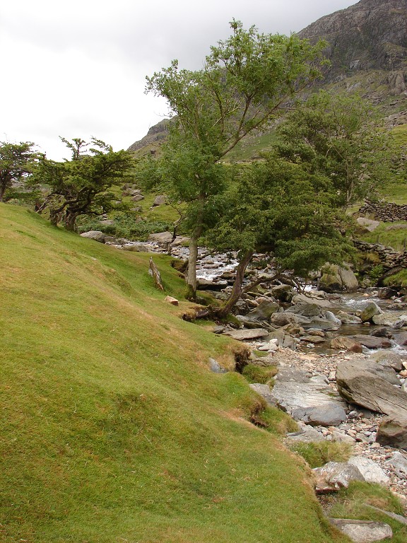 img00111.jpg
