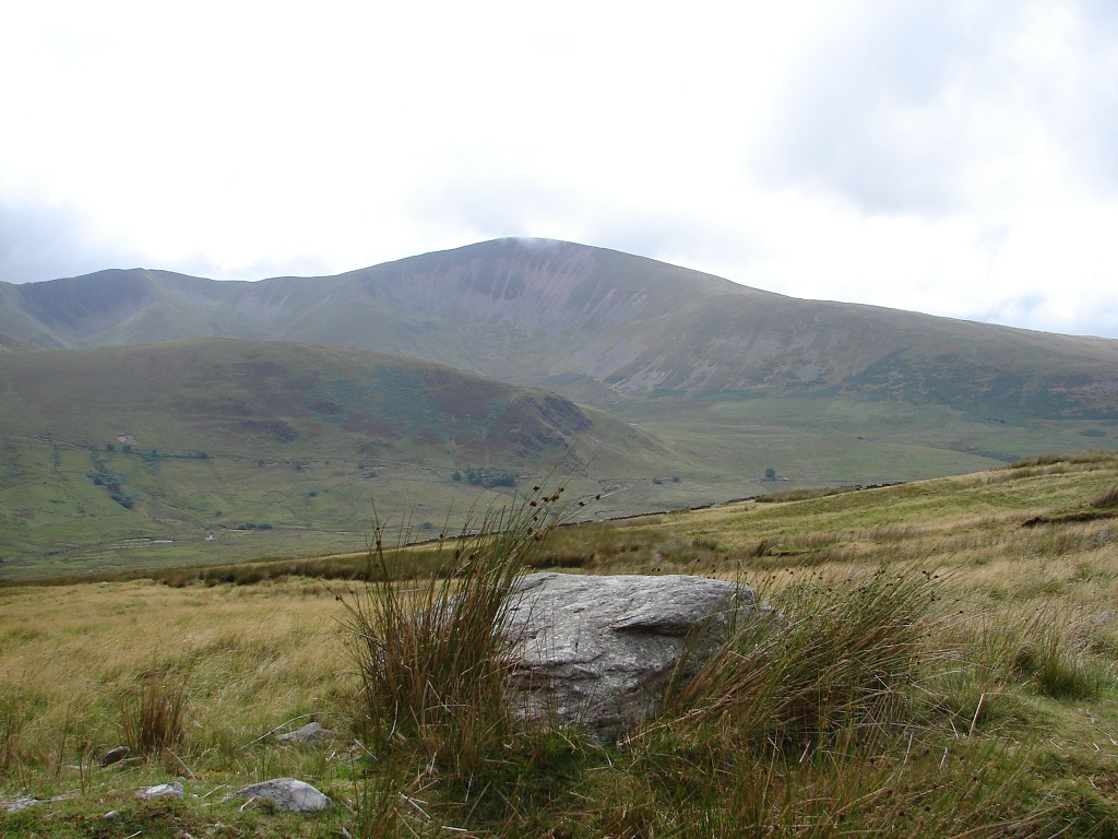 img00114.jpg
