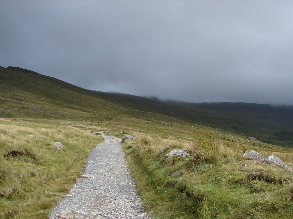 img00115.jpg