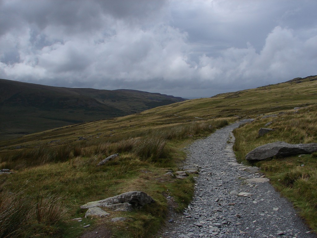 img00116.jpg