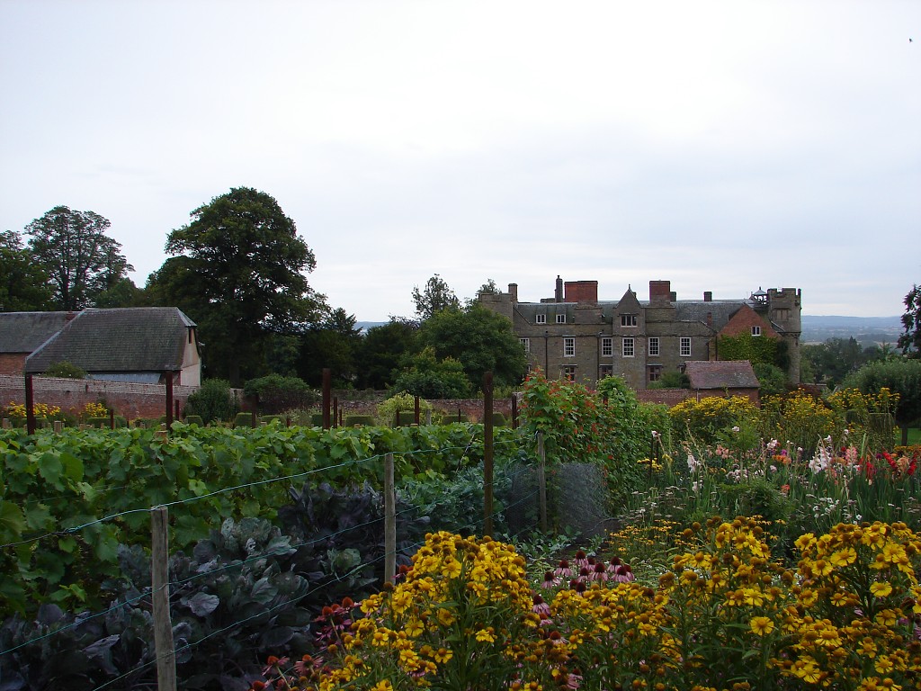 img00167.jpg