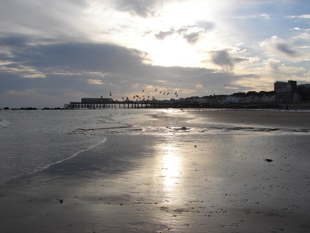 img00205.jpg
