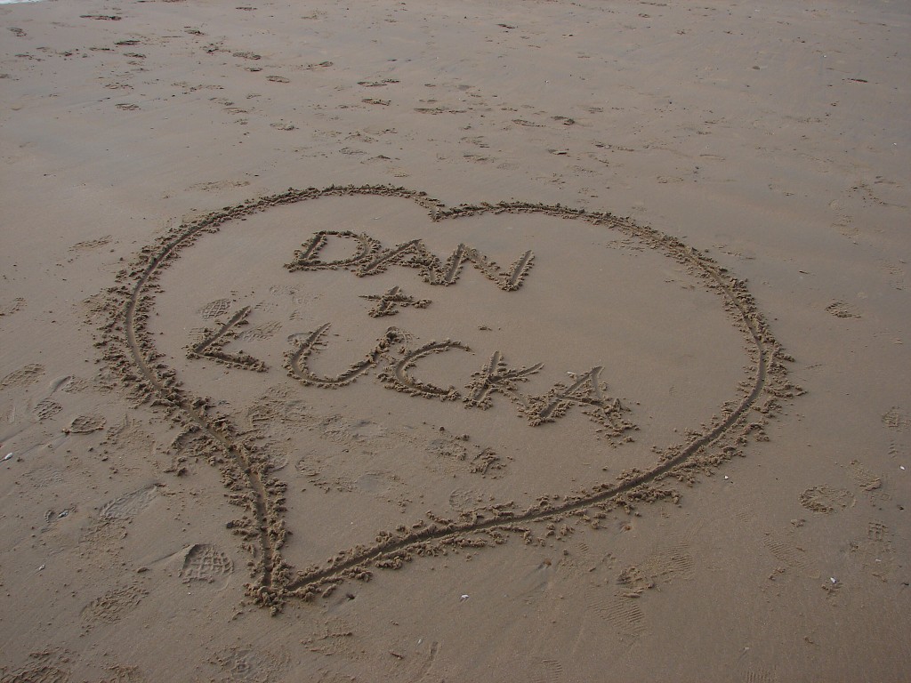 img00206.jpg