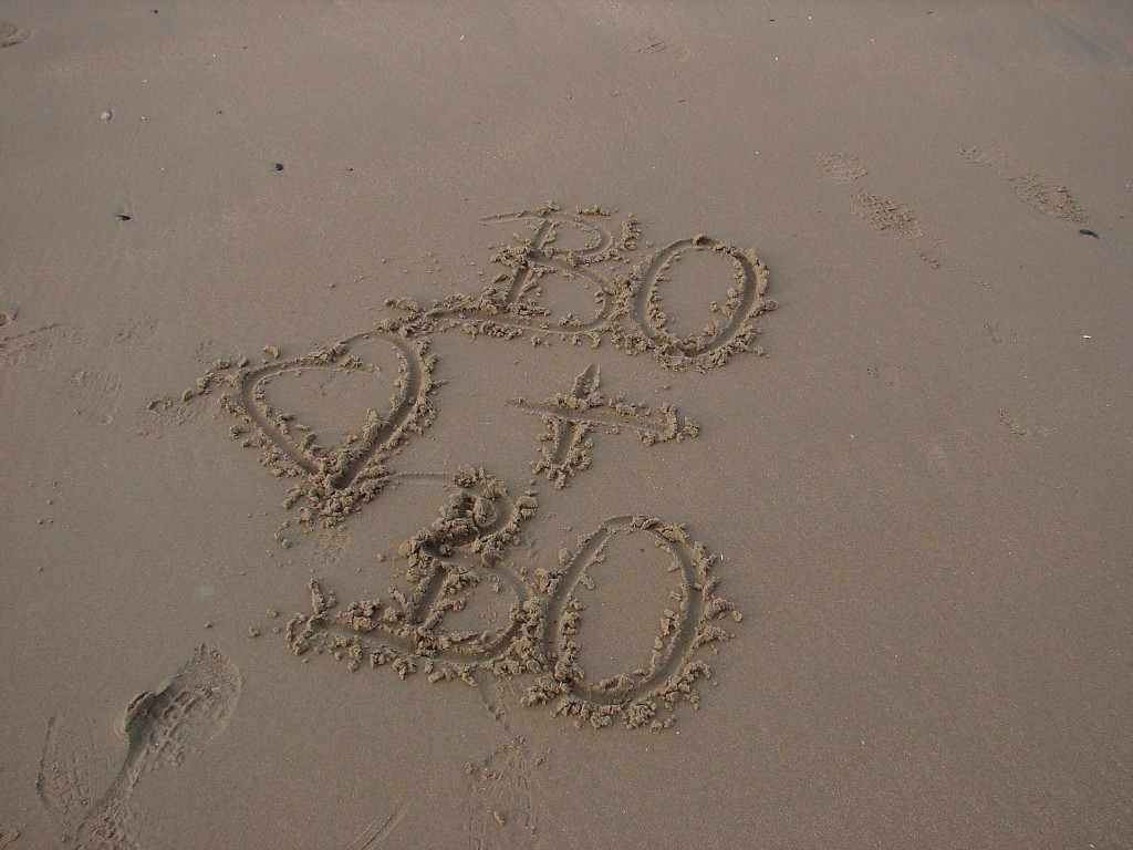 img00207.jpg