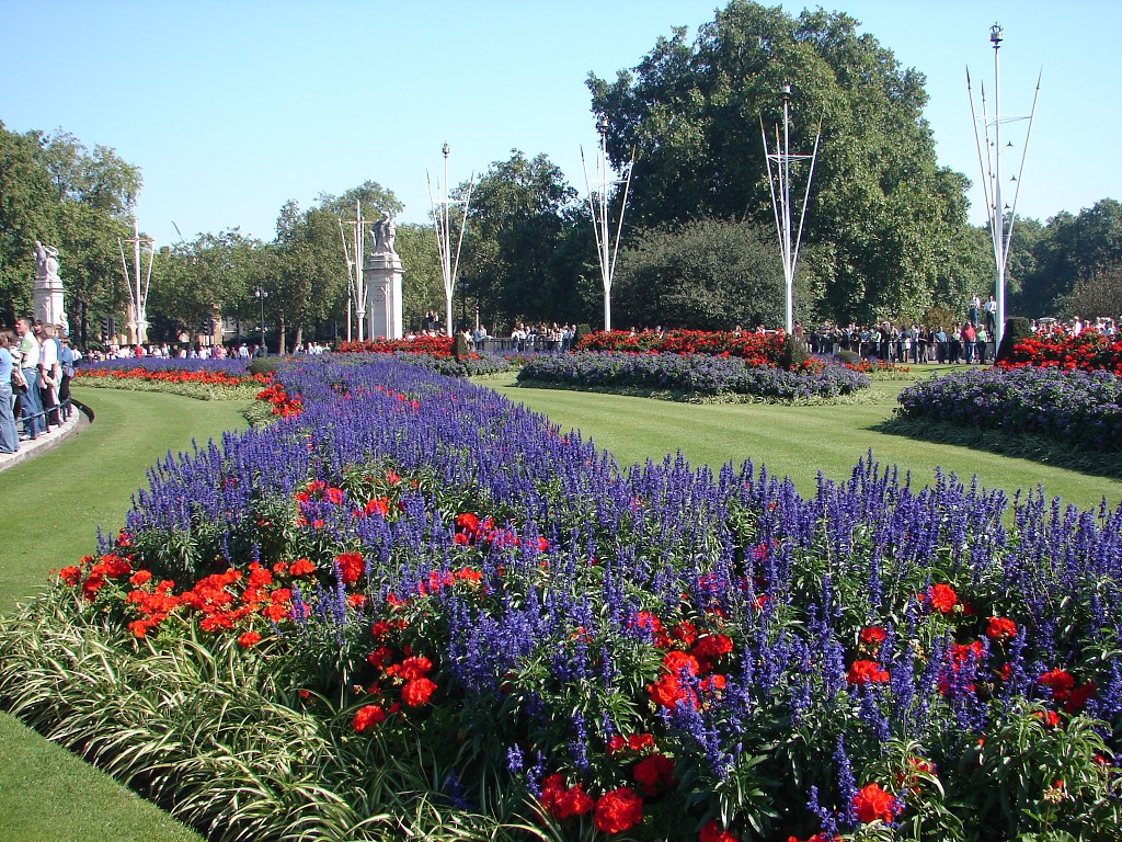 img00221.jpg