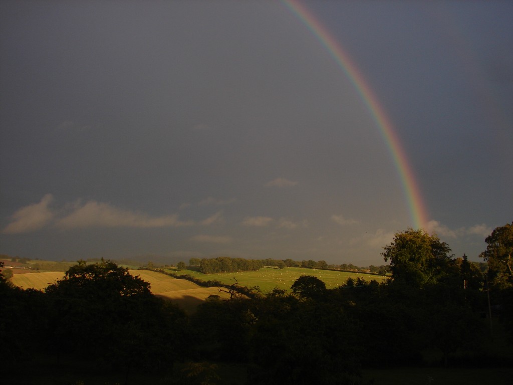 img00228.jpg