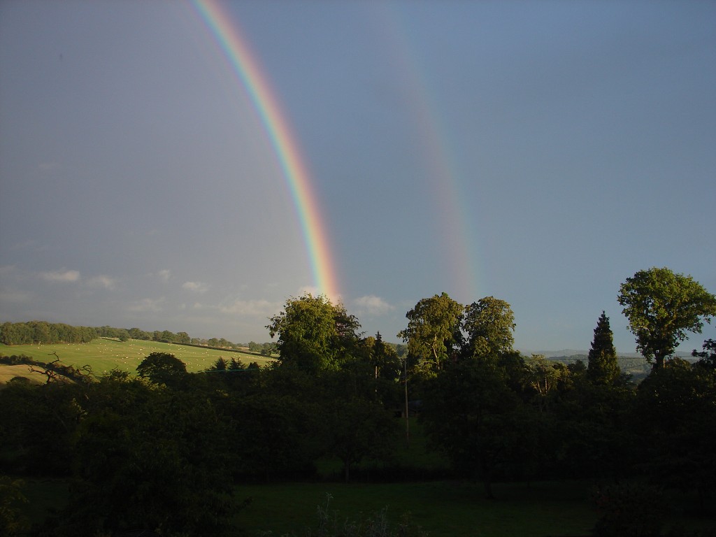 img00229.jpg