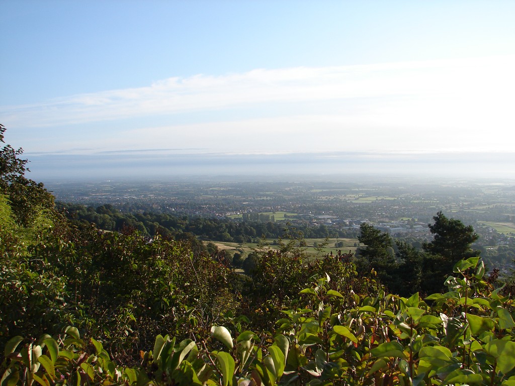 img00231.jpg