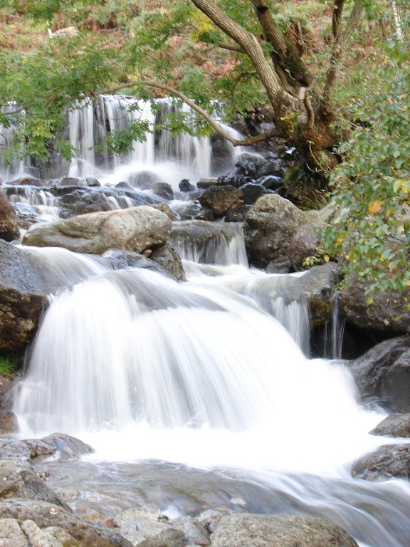 img00243.jpg