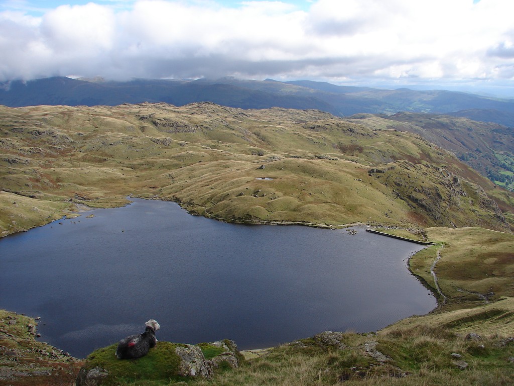 img00244.jpg