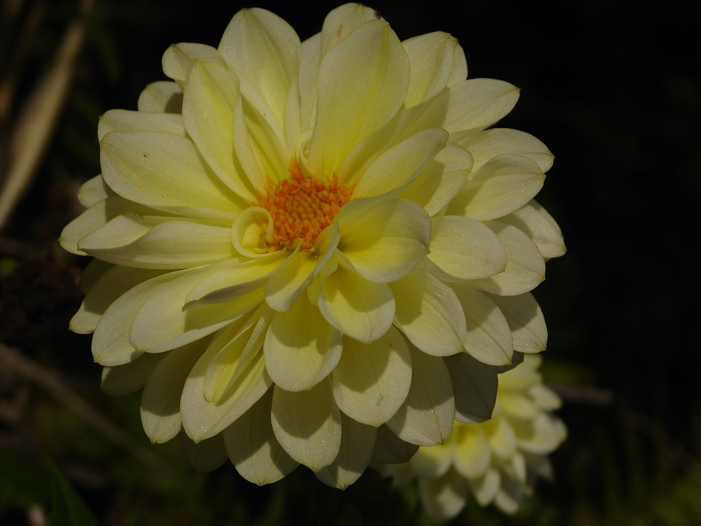 img00255.jpg