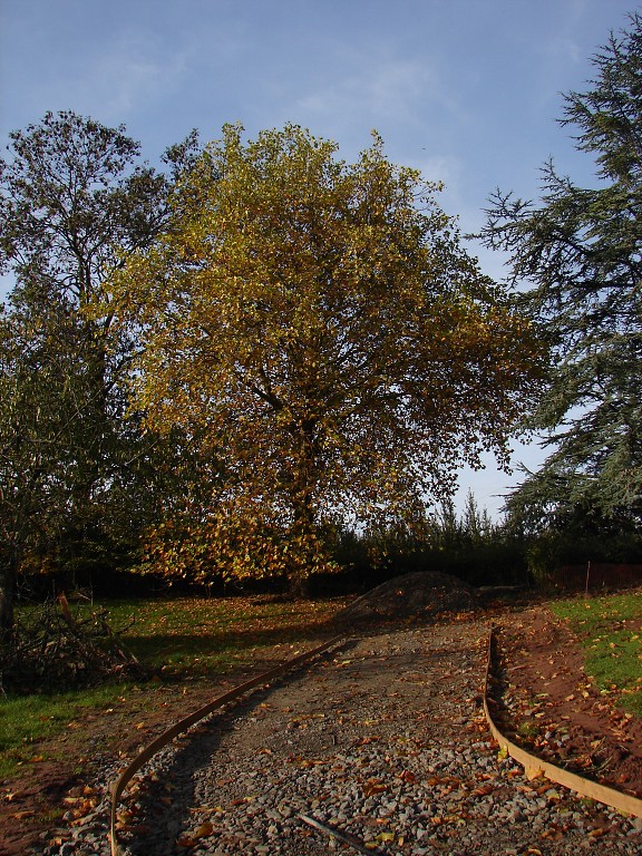 img00259.jpg