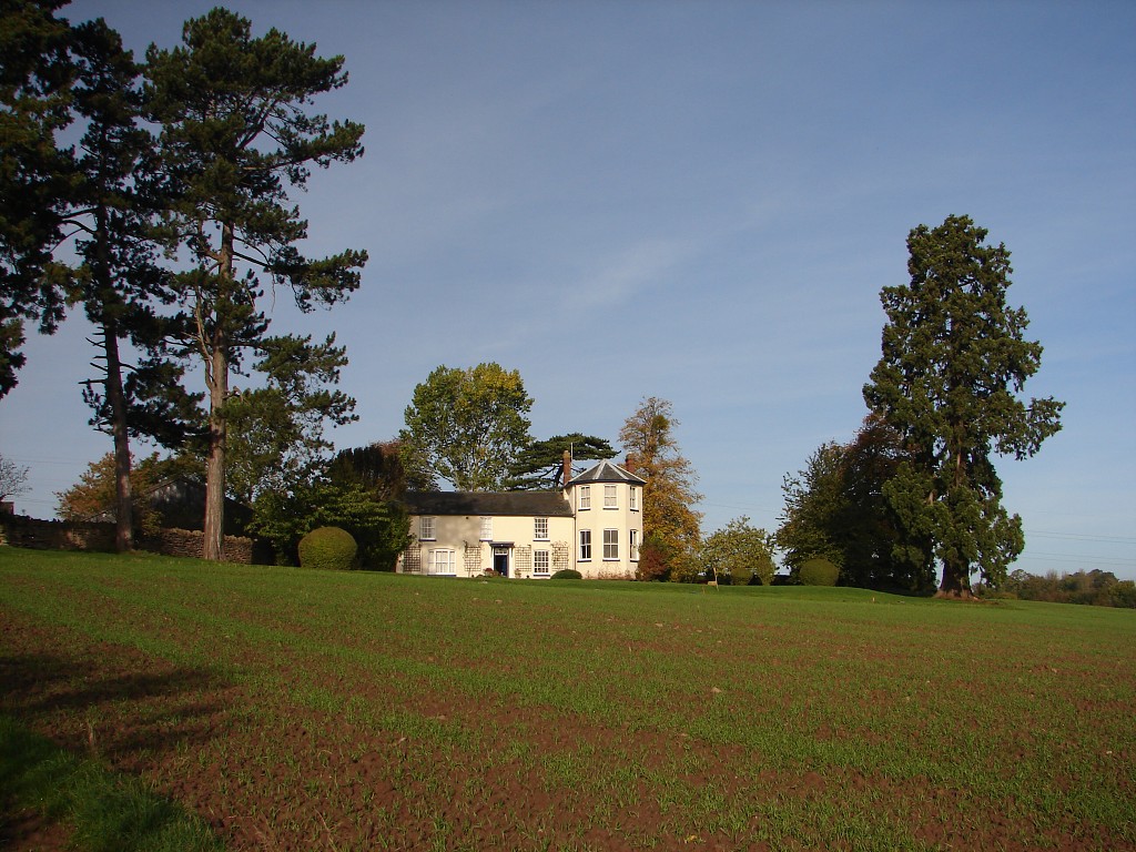 img00262.jpg