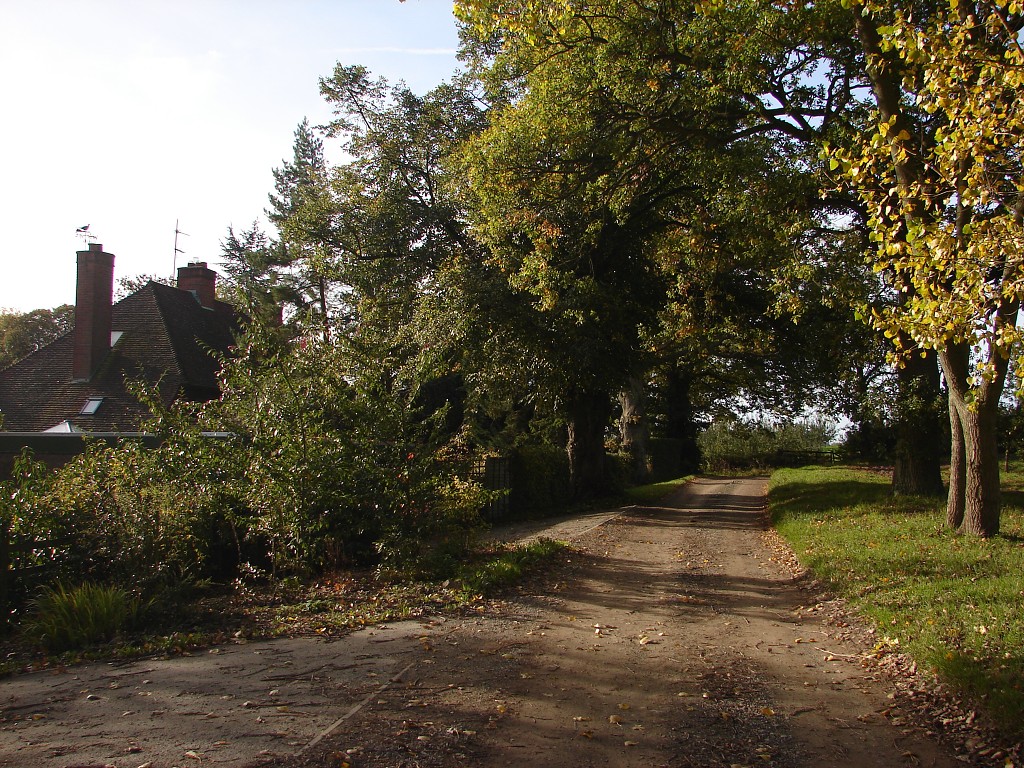 img00263.jpg