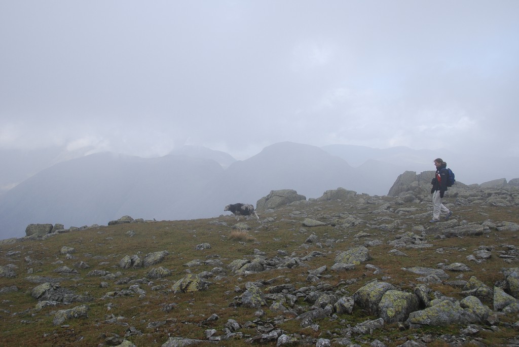 img00295.jpg