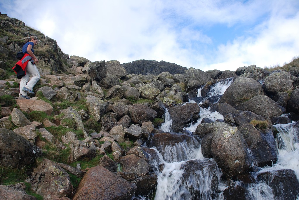 img00310.jpg