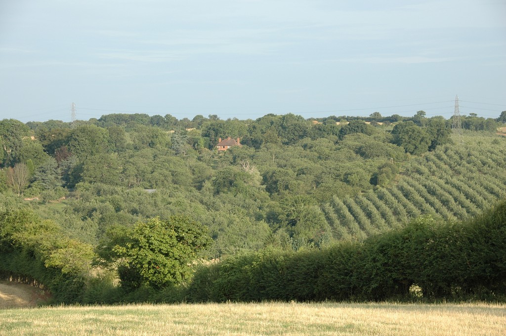 img00325.jpg