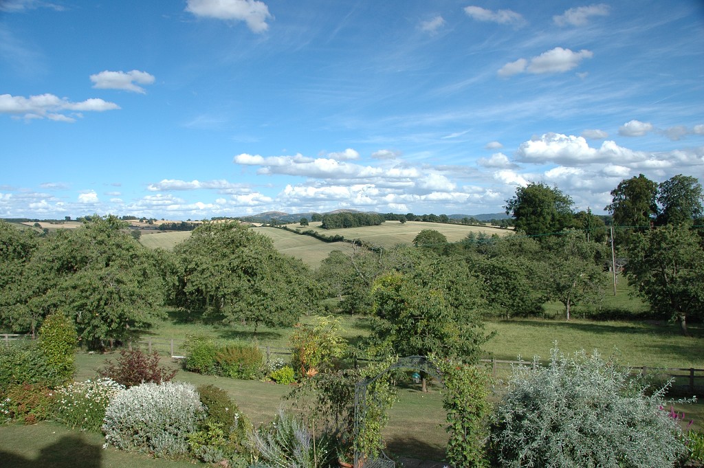 img00329.jpg