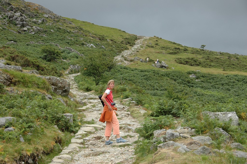 img00336.jpg
