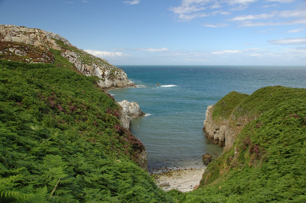 img00346.jpg
