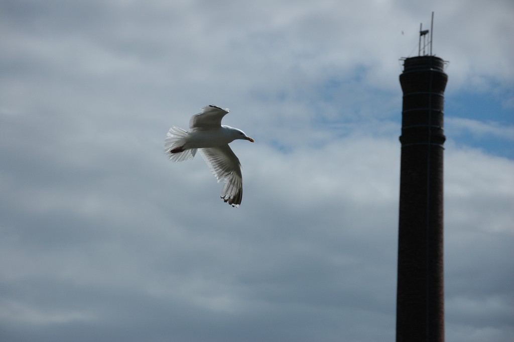 img00347.jpg