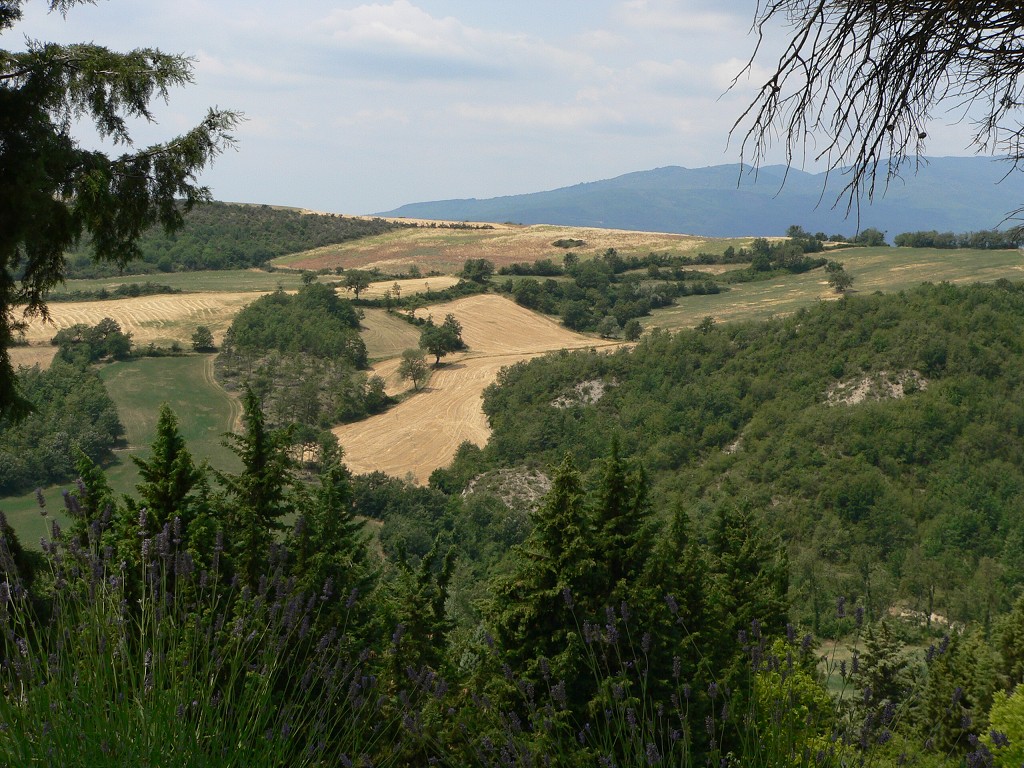 img00376.jpg