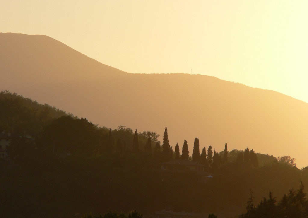 img00387.jpg