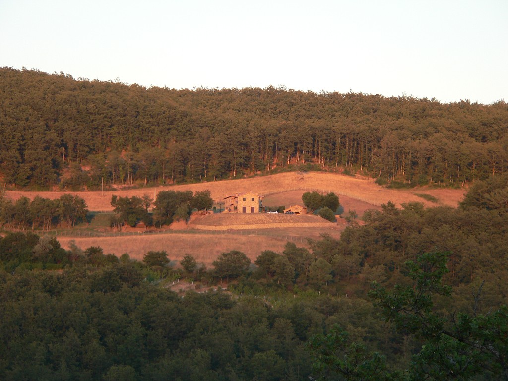 img00388.jpg