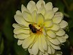 1/500 s, F4.0, ISO 64